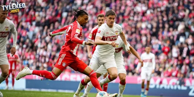 Dự đoán kèo Stuttgart vs Köln